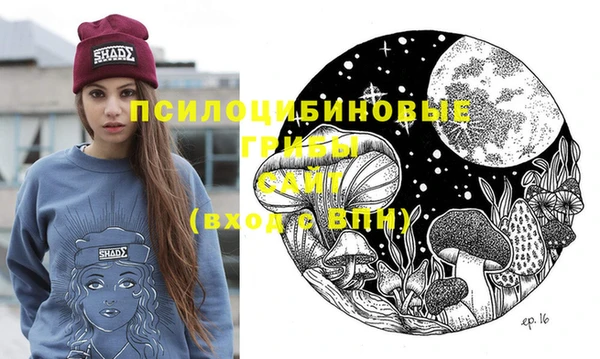 ГАЛЛЮЦИНОГЕННЫЕ ГРИБЫ Магадан