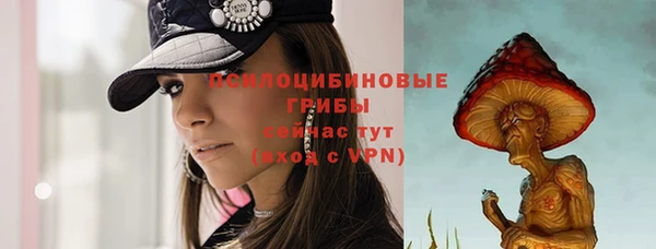 ГАЛЛЮЦИНОГЕННЫЕ ГРИБЫ Магадан