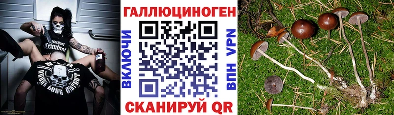Галлюциногенные грибы мицелий  продажа наркотиков  Тырныауз 