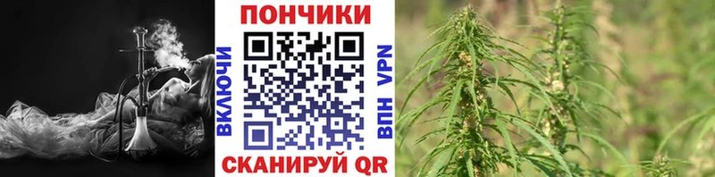 Шишки марихуана план  ссылка на мегу маркетплейс  Тырныауз  купить наркотики цена 